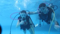 IMG_0124.jpg